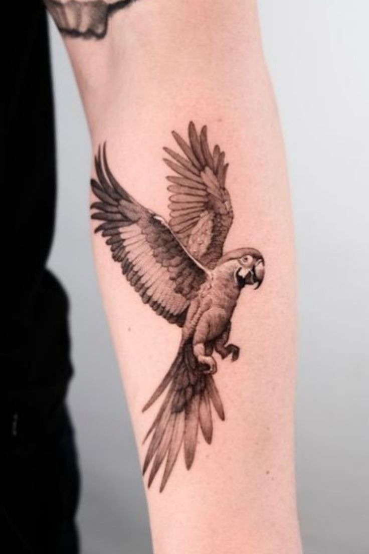 Realistic Macaw Tattoo for Bold Style Tattoo Design