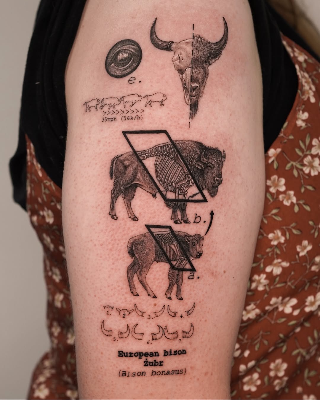 This tattoo features a detailed depiction of a bison, showing its majestic form through fine line art.