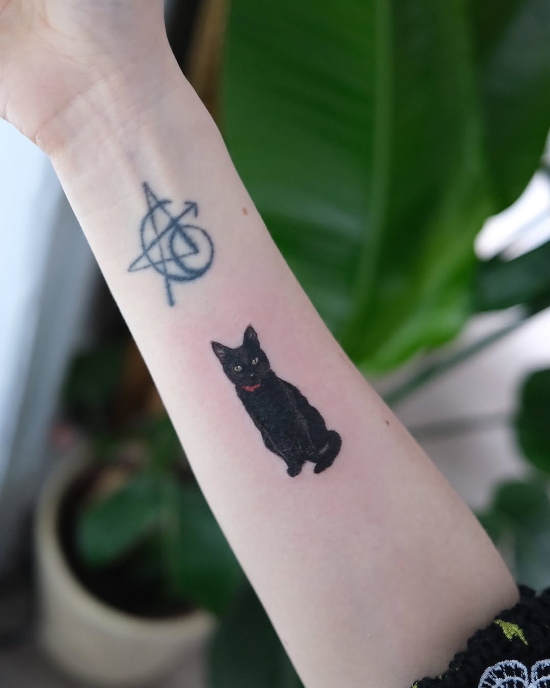 Elegant black cat tattoo with vibrant details Tattoo Design