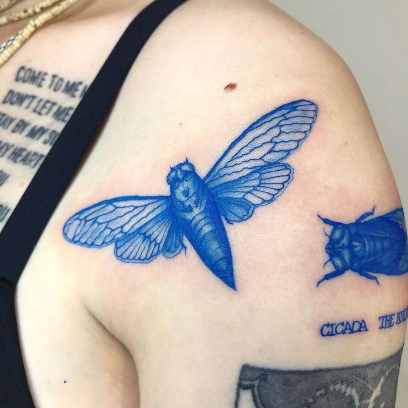 Blue Cicada Shoulder Tattoo Tattoo Design