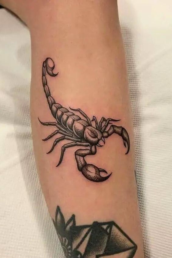 Dandelion and Scorpio Blend Tattoo Design