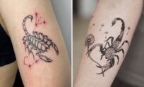 Bold And Beautiful Scorpio Tattoo Ideas With Striking Visual Contrast