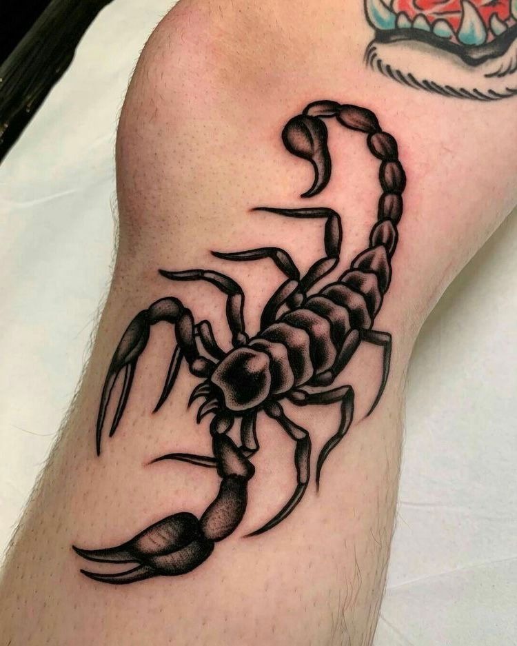 Bold Traditional Scorpion Tattoo Design
