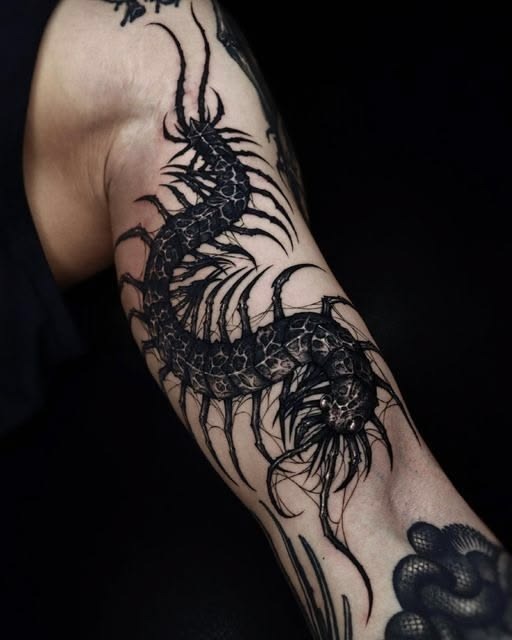 Skeletal Centipede Blackwork Tattoo Tattoo Design