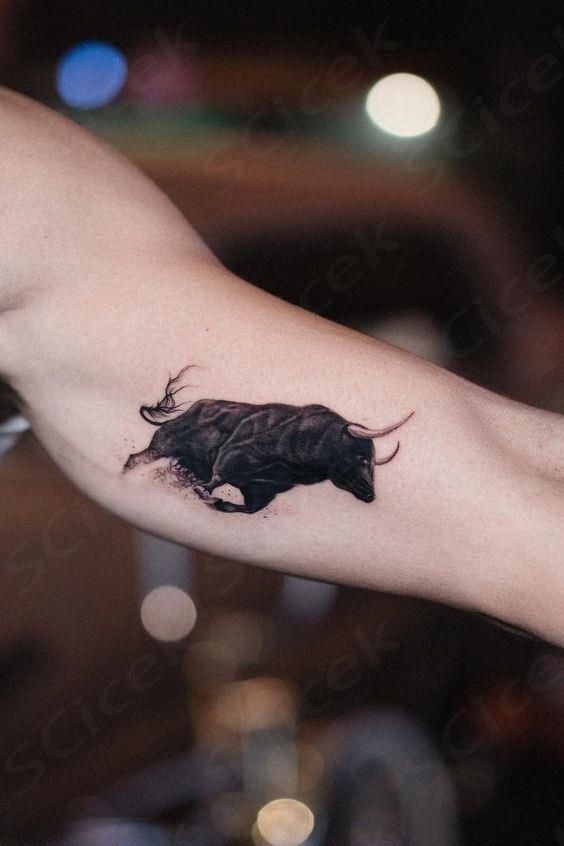 American Traditional Bull Tattoo Tattoo Design