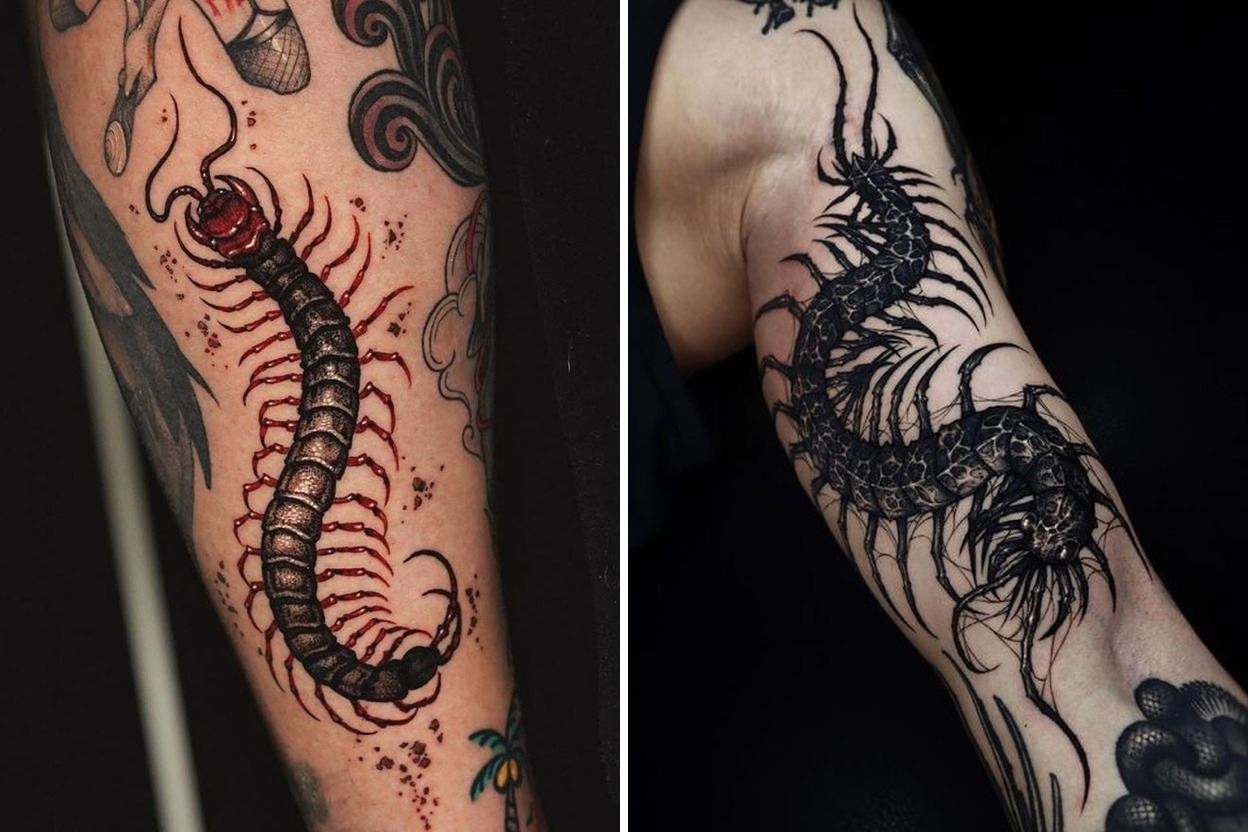 25+ Bold Centipede Tattoo Ideas Curated for Your Next Session Featured Lookbook Collage