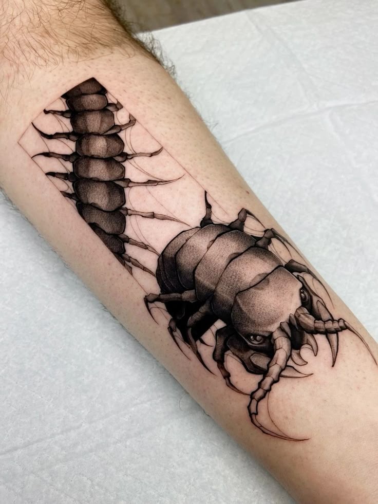 Giant Segment Realism Tattoo Design