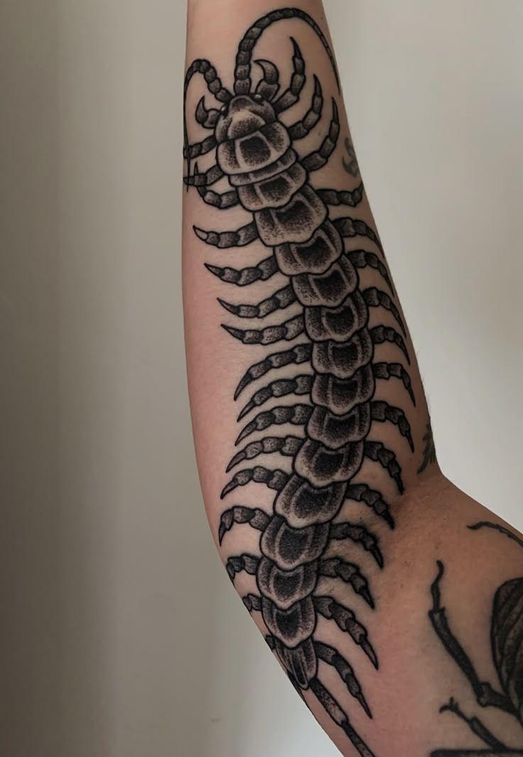 Soft Dotwork Shadow Centipede Tattoo Design