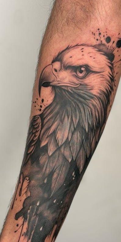 Close Eagle Portrait With Soft Shading Tattoo Design