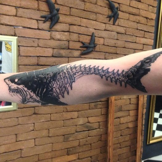 Shark With Anchor Tattoo Tattoo Design