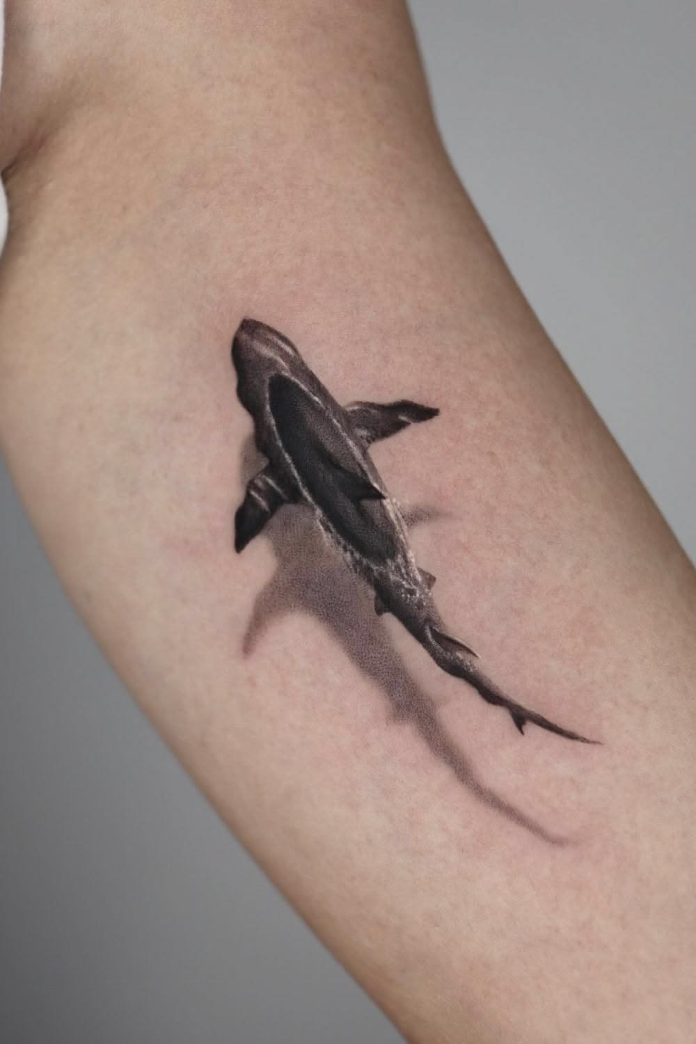Twin Hammerhead Thigh Tattoo Tattoo Design