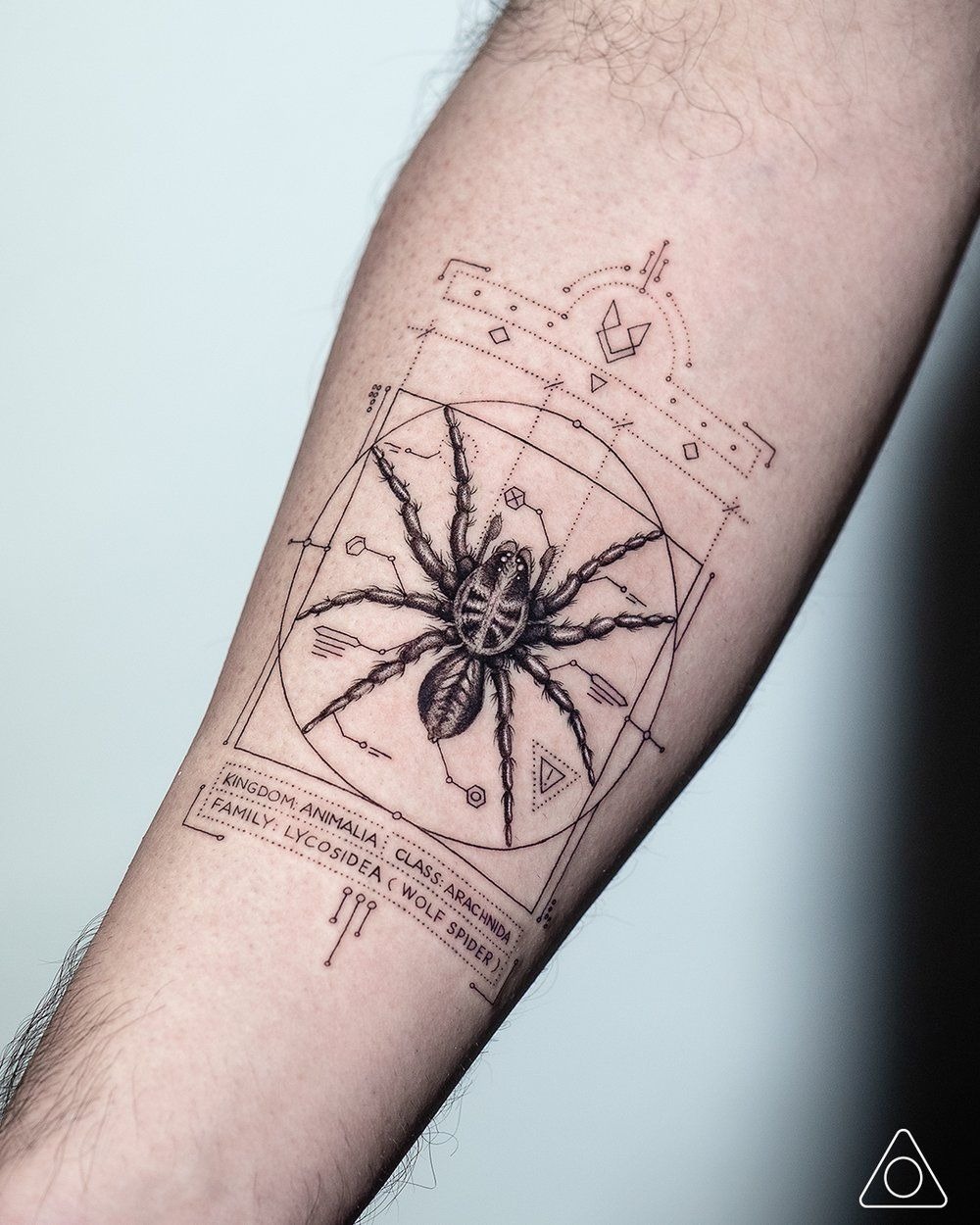 Shoulder Web With Hanging Spider Tattoo Design