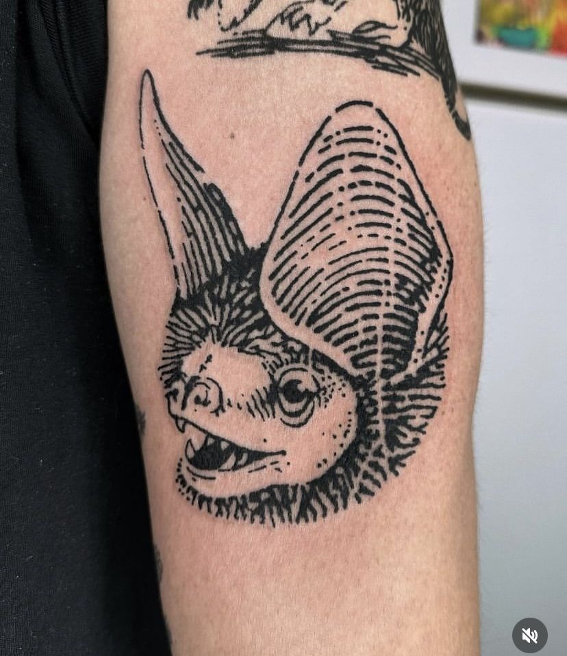 Wide-Eared Little Bat Face Tattoo Design