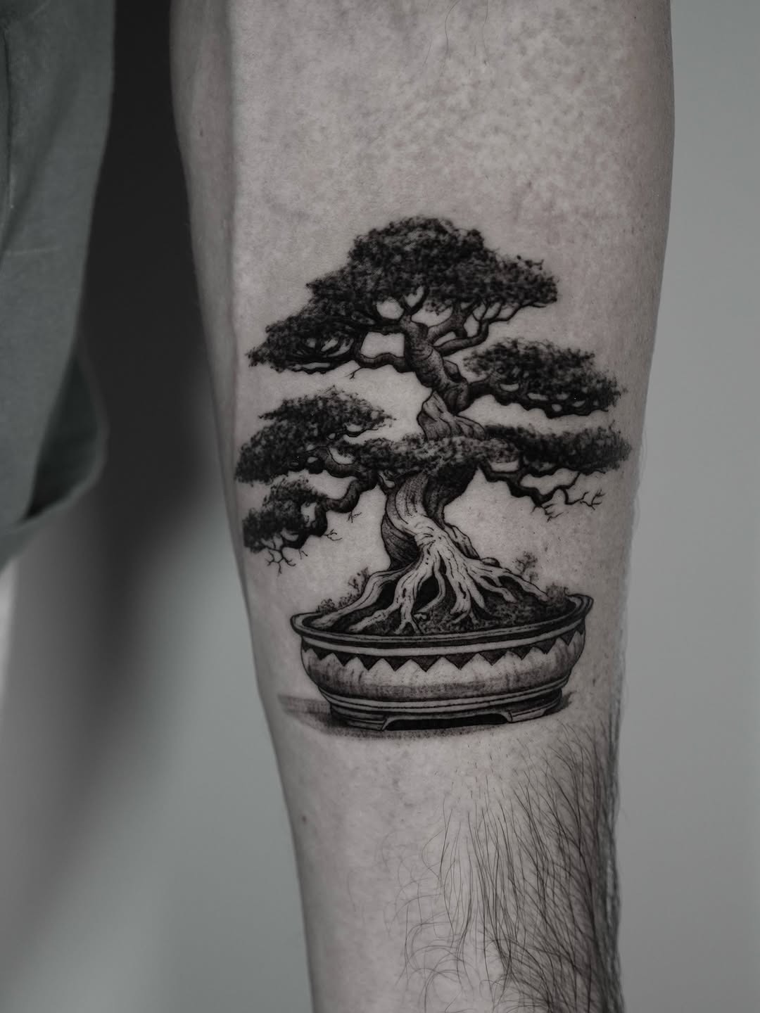 Detailed bonsai tattoo with intricate designs Tattoo Design
