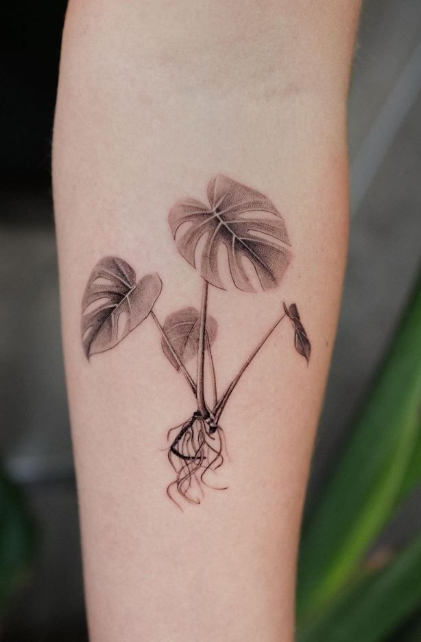 Minimalist Botanical Root Study Tattoo Design