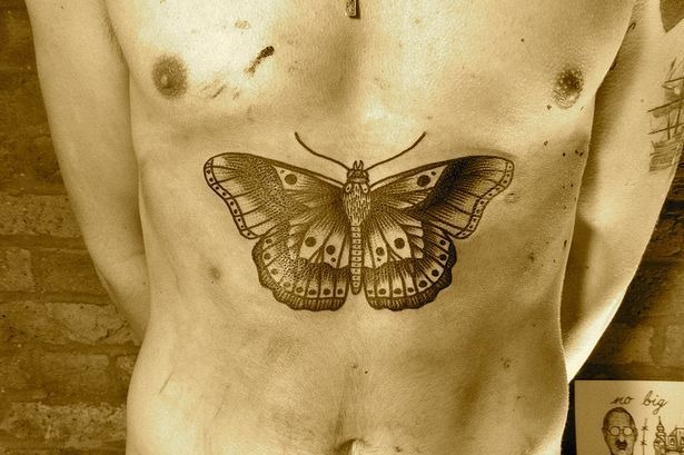 Giant Butterfly Stomach tattoo, detailed design.