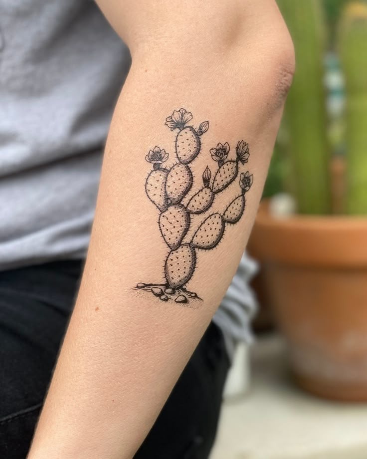 Prickly Pear Botanical Sketch Tattoo Design