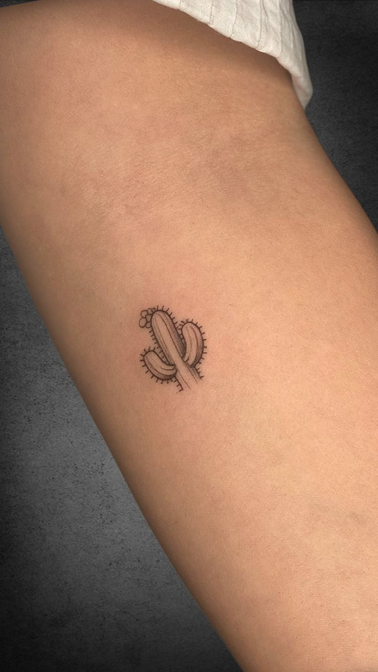 Tiny Cactus, Big Mood Tattoo Design
