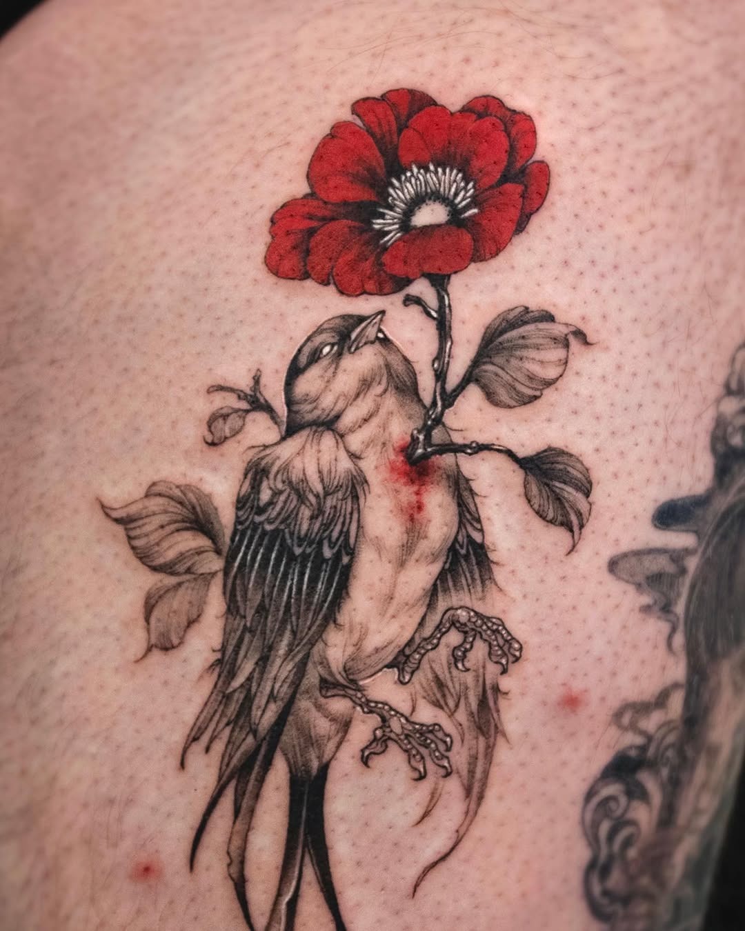 Elegant bird tattoo with striking camellia flower Tattoo Design