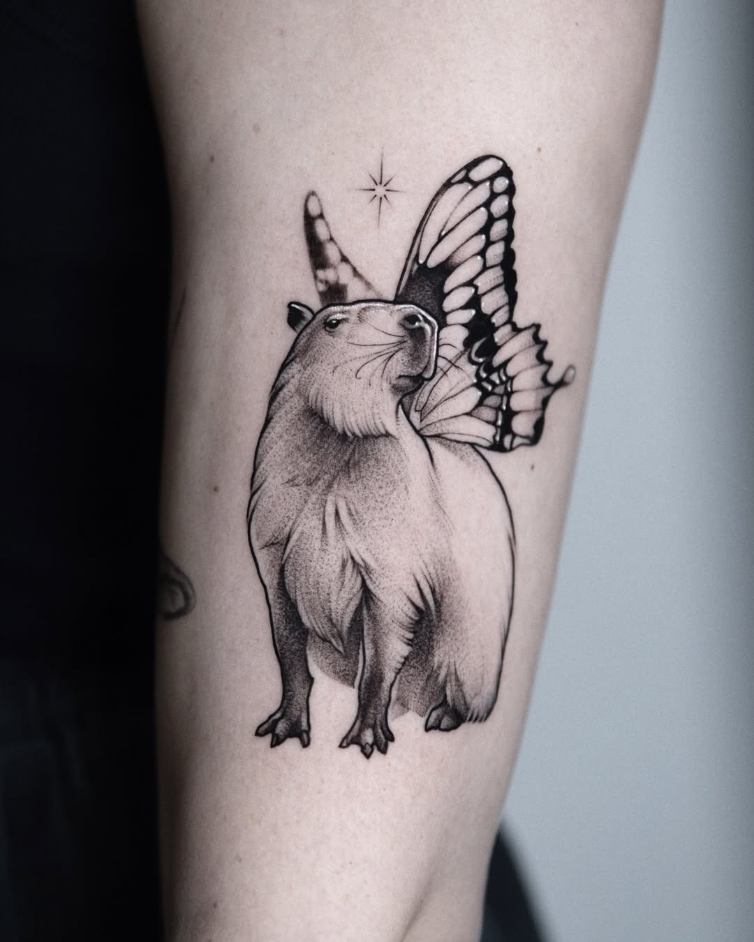 Capybara with whimsical butterfly wings tattoo Tattoo Design