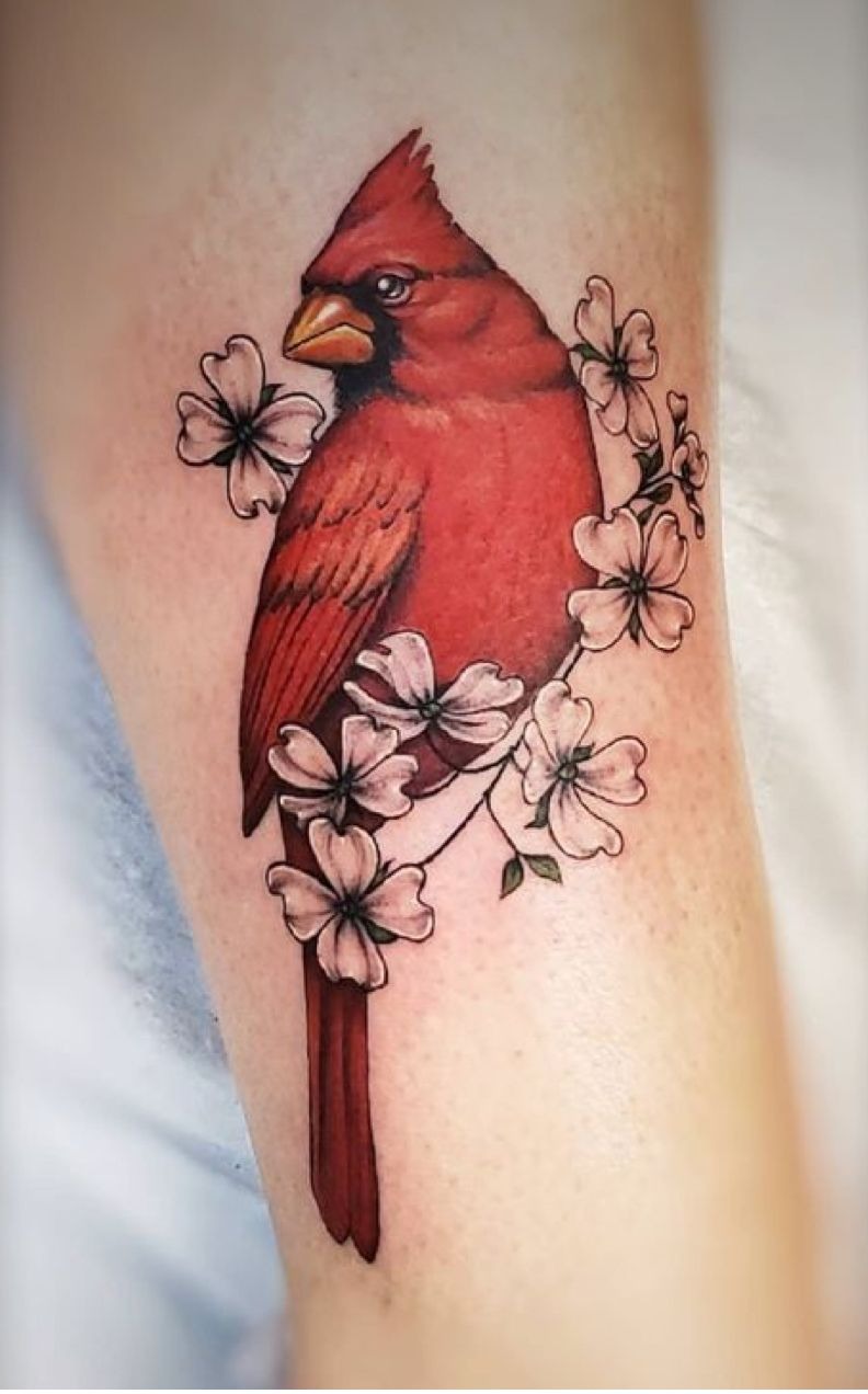 Cardinal Surrounded by Soft Blossoms Tattoo Design