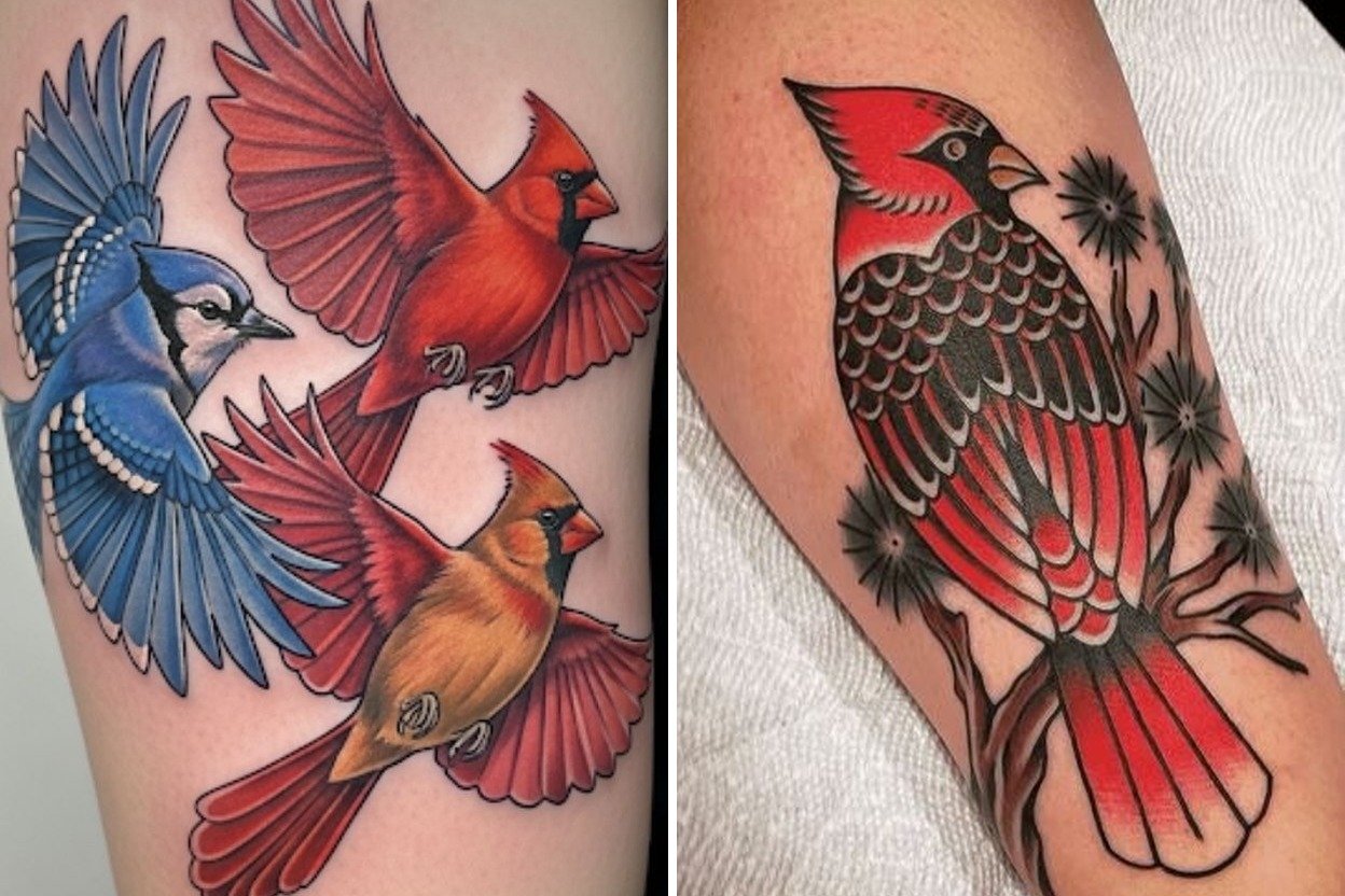 22+ Cardinal Tattoo Ideas With Color Meaning and Timeless Beauty Featured Lookbook Collage