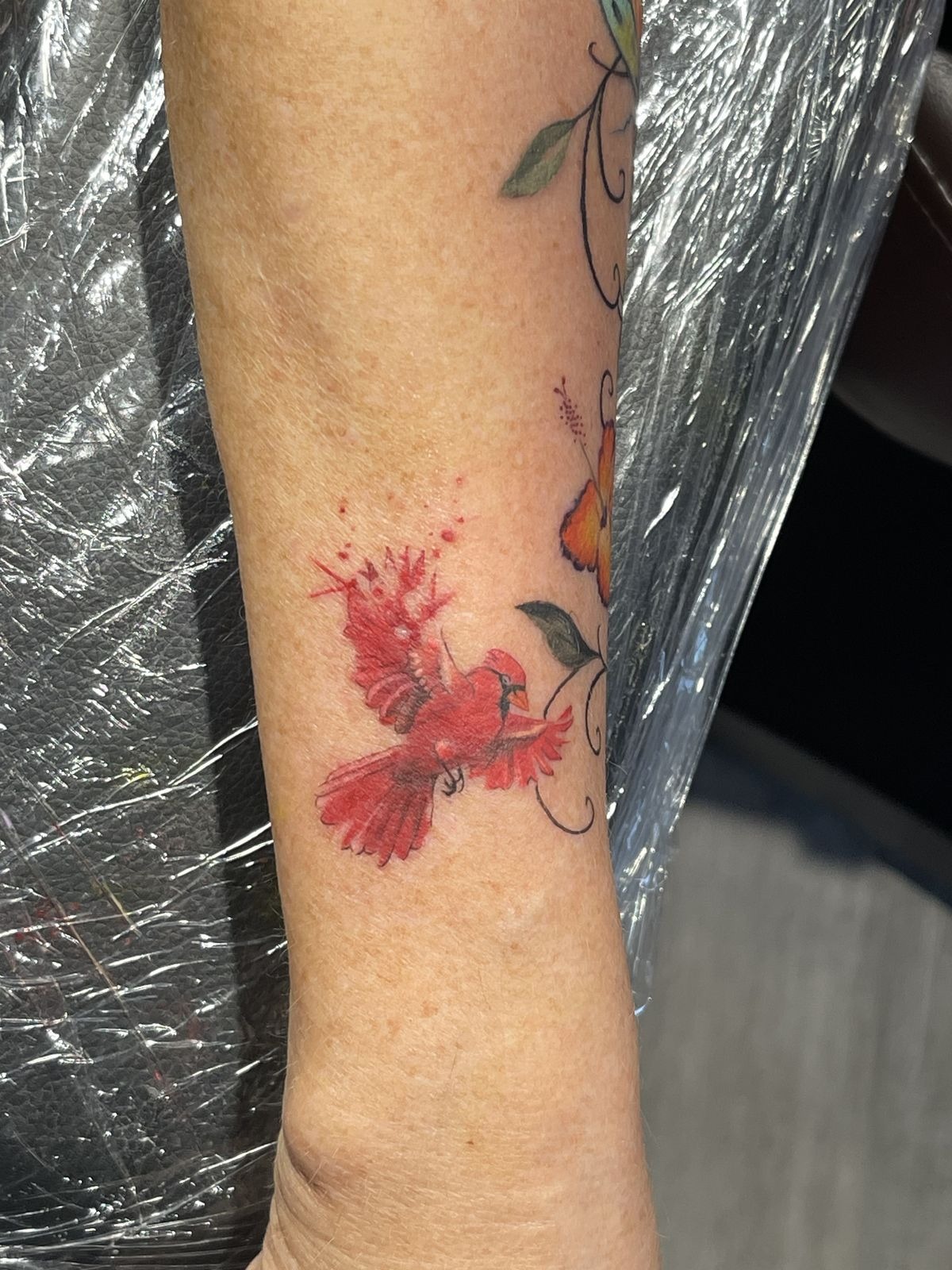 Small Watercolor Cardinal Landing on a Vine Tattoo Design