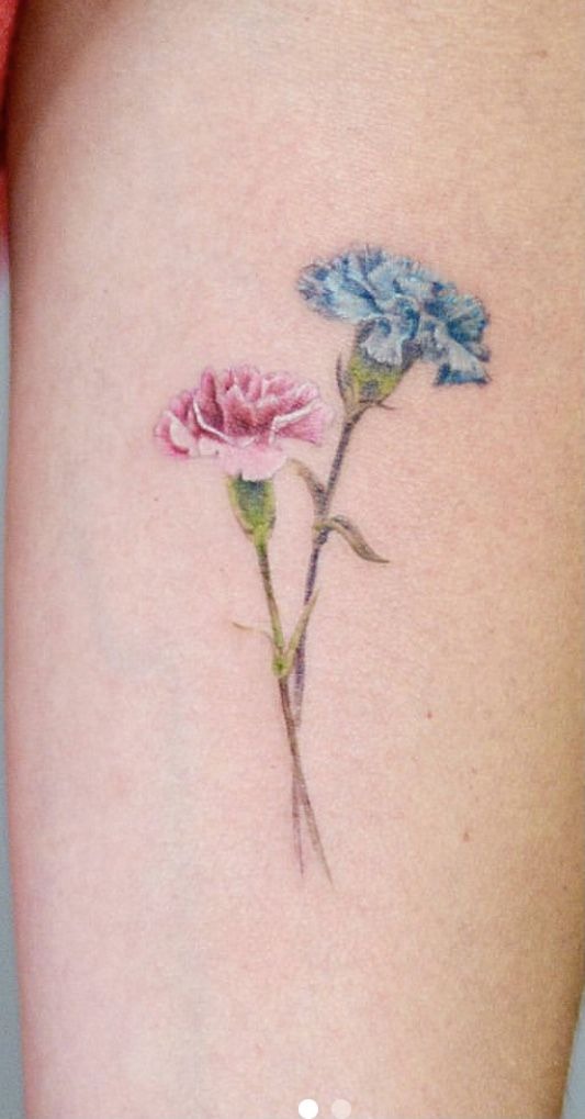 Pink and Blue Carnation Pair Tattoo Design