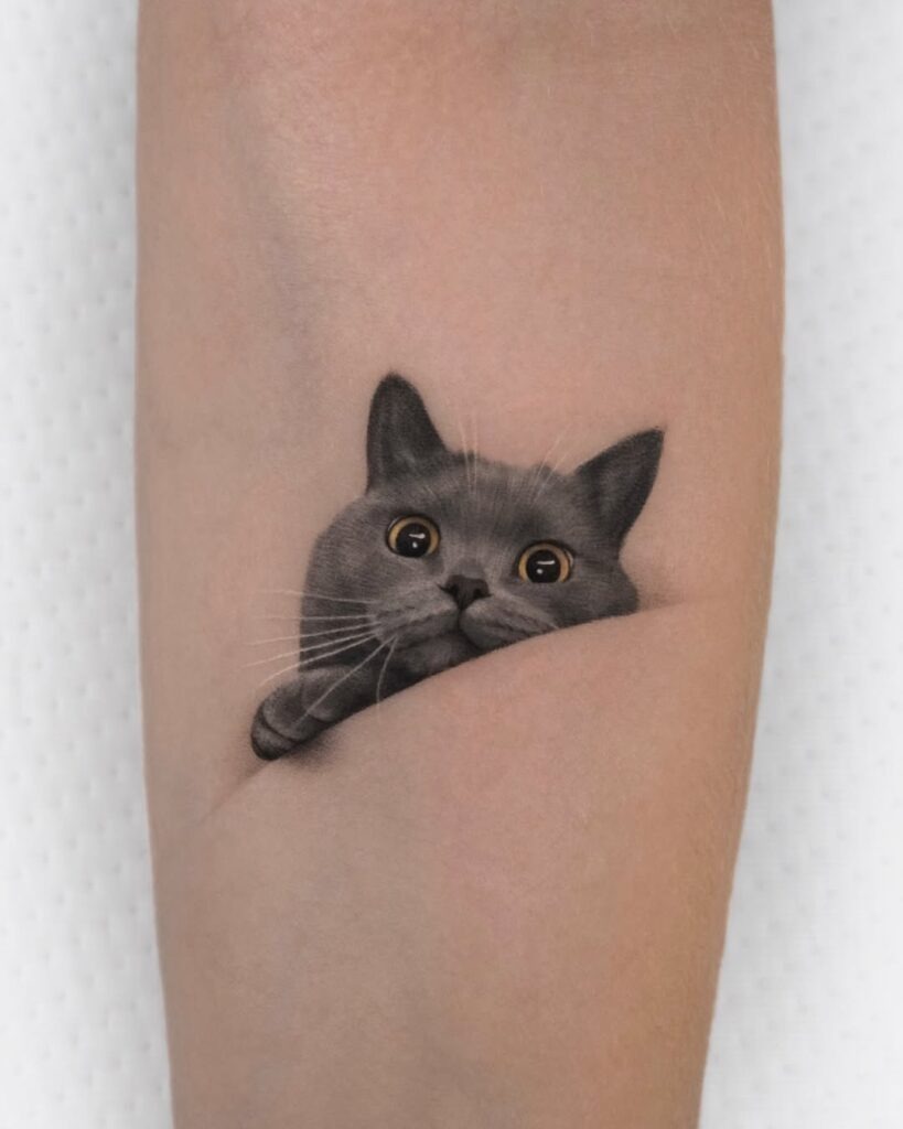 Curious Peeking Cat Tattoo Tattoo Design
