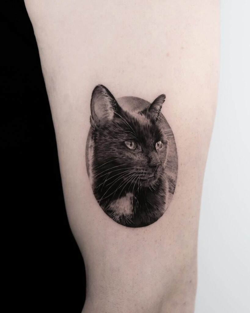 Detailed Cat Portrait in Oval Frame Tattoo Design