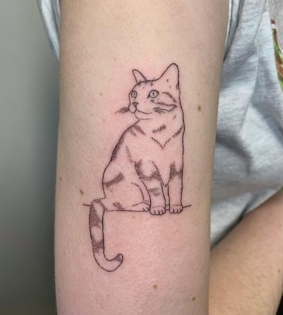 Fine Line Tabby Cat Tattoo Tattoo Design