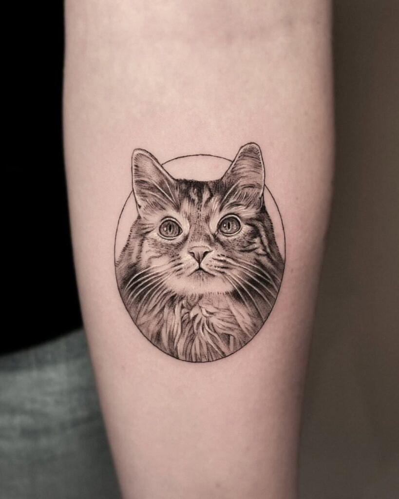 Majestic Maine Coon Cat Portrait Tattoo Tattoo Design