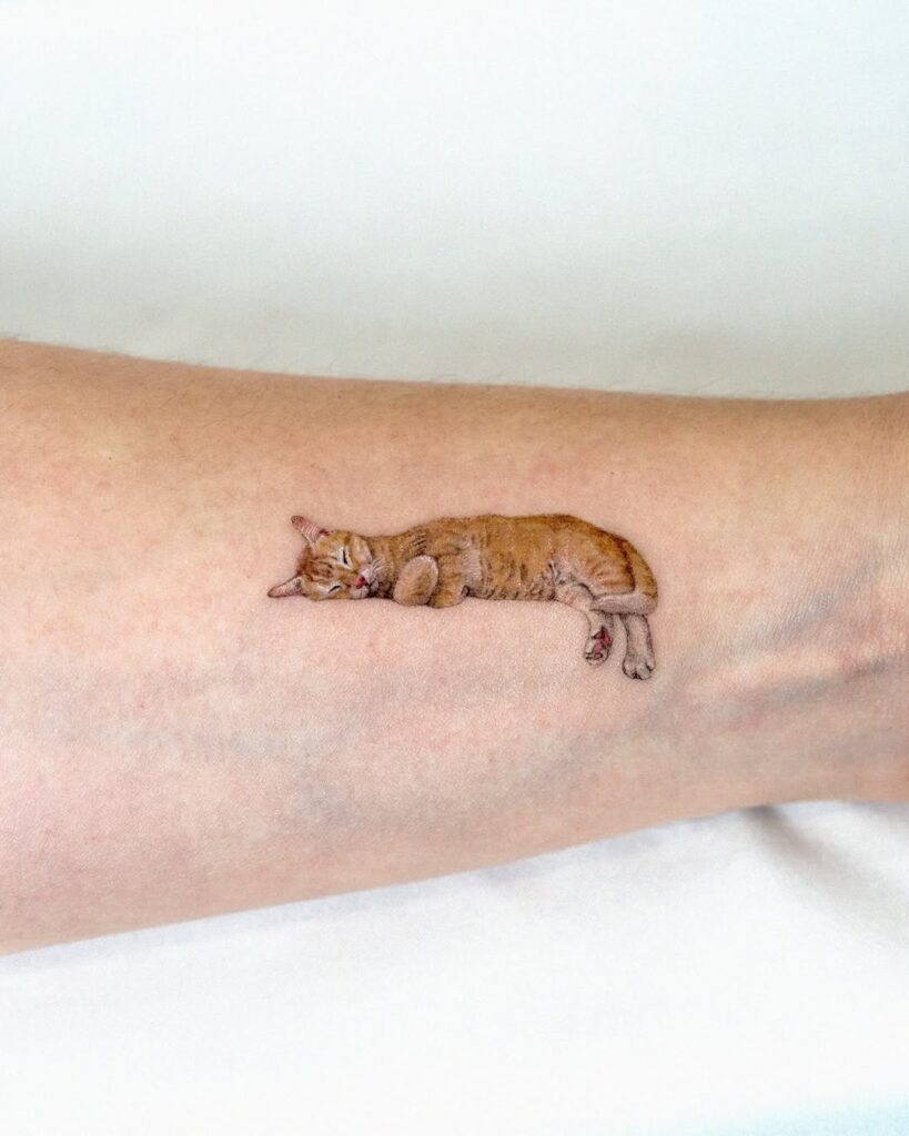 Sleeping Cat Tattoo Tattoo Design