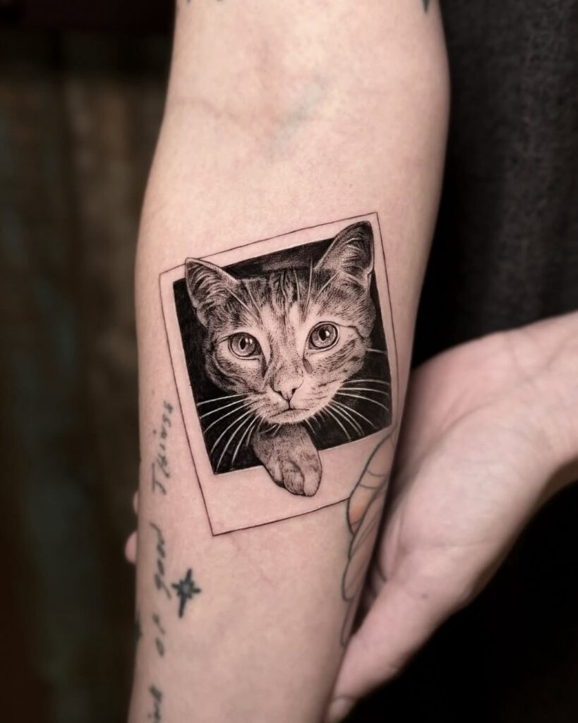 Timeless Polaroid Cat Tattoo Design