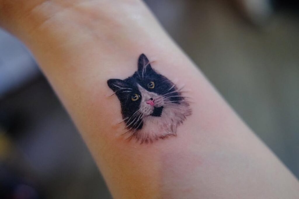 Tuxedo Cat Portrait Tattoo Tattoo Design