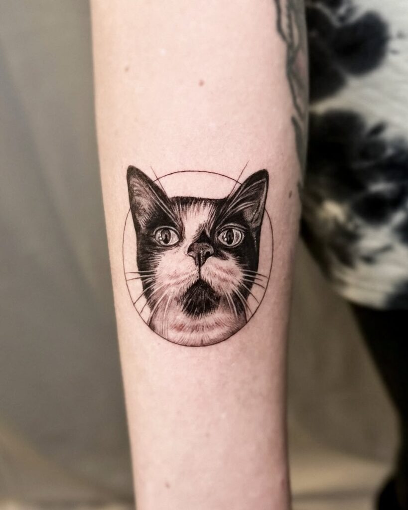 Tuxedo Cat Portrait Tattoo Design