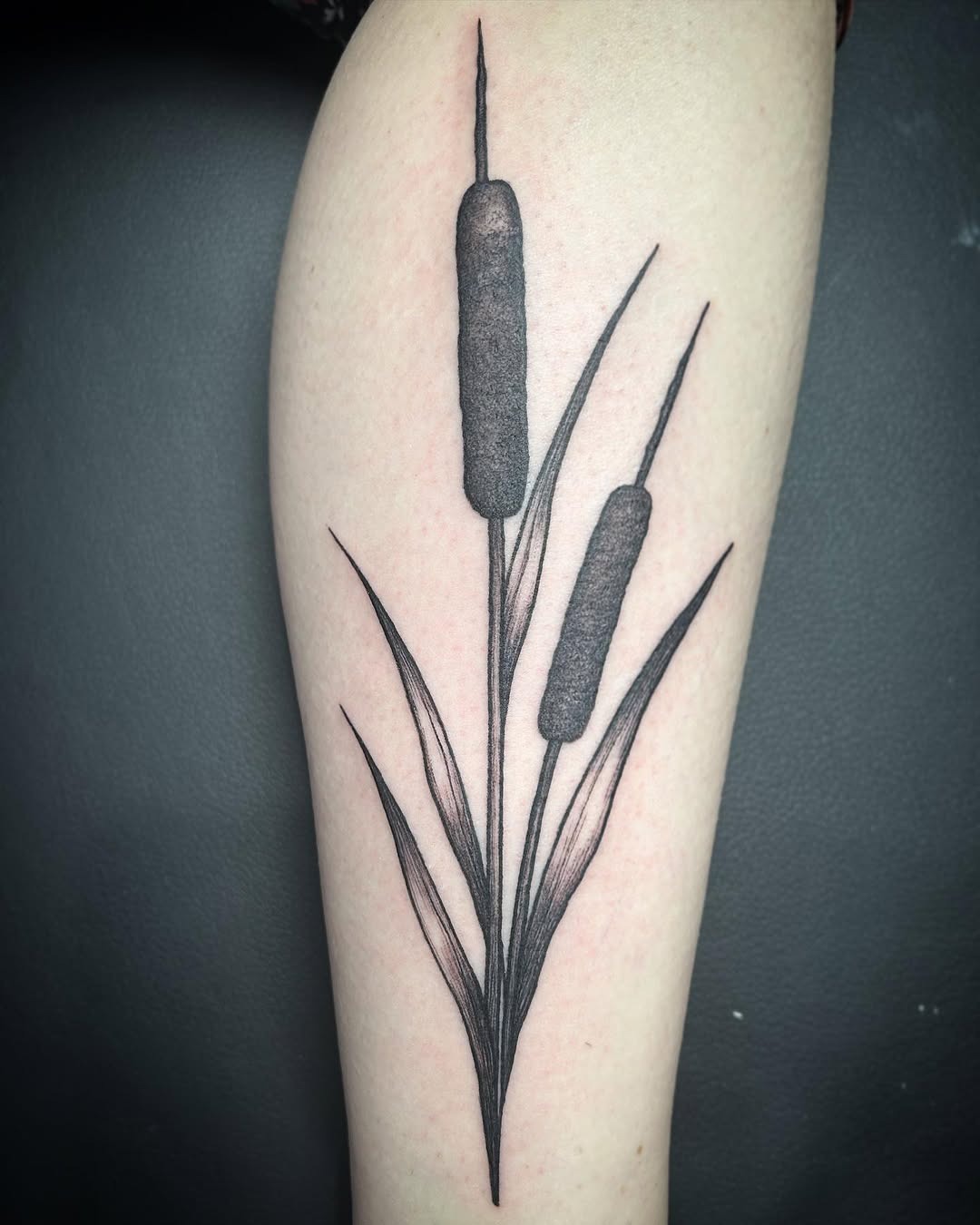 This tattoo features a sleek black outline of cattails gracefully rising above long, delicate leaves.