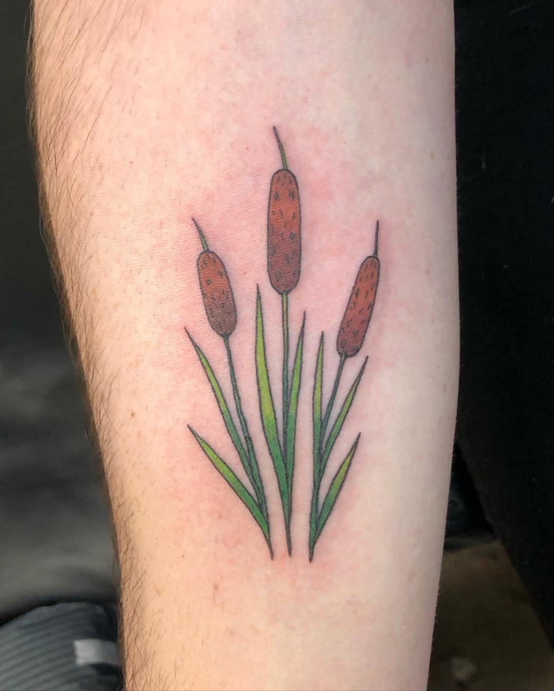 This tattoo features striking cattails with their iconic brown spikes and lush green leaves.