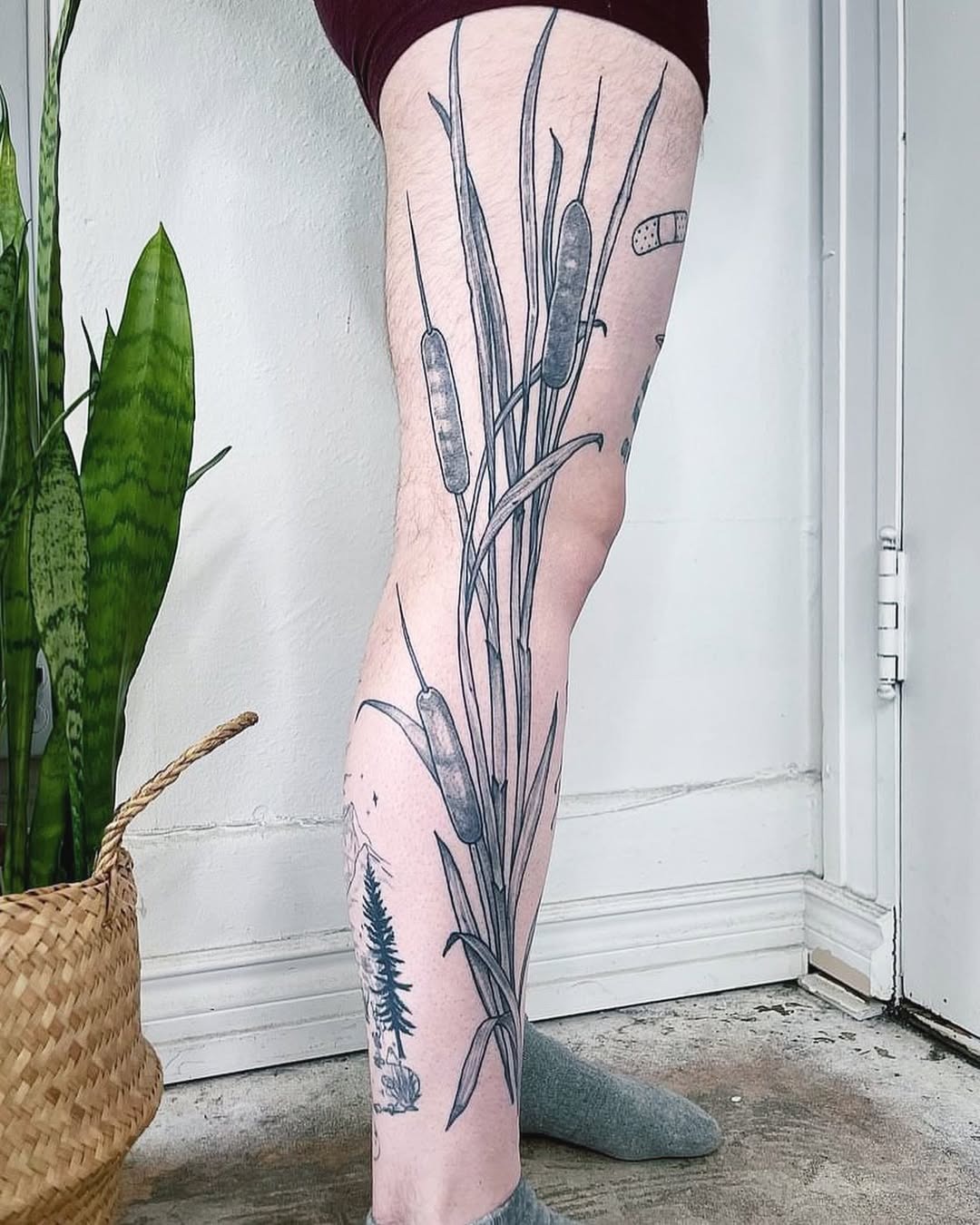 This cattail tattoo elegantly wraps around the arm, celebrating the beauty of nature.