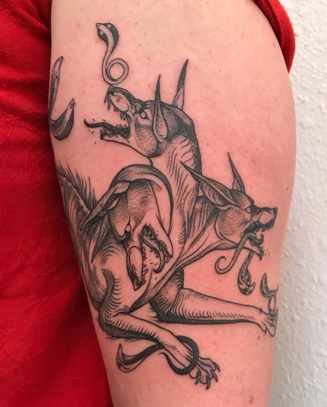 Cerberus Playfight With Serpents Tattoo Design
