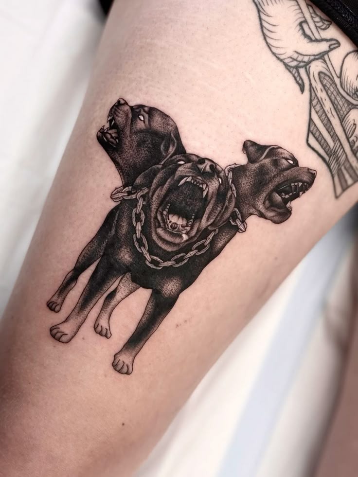 Classic Growling Cerberus With Chain Collar Tattoo Design