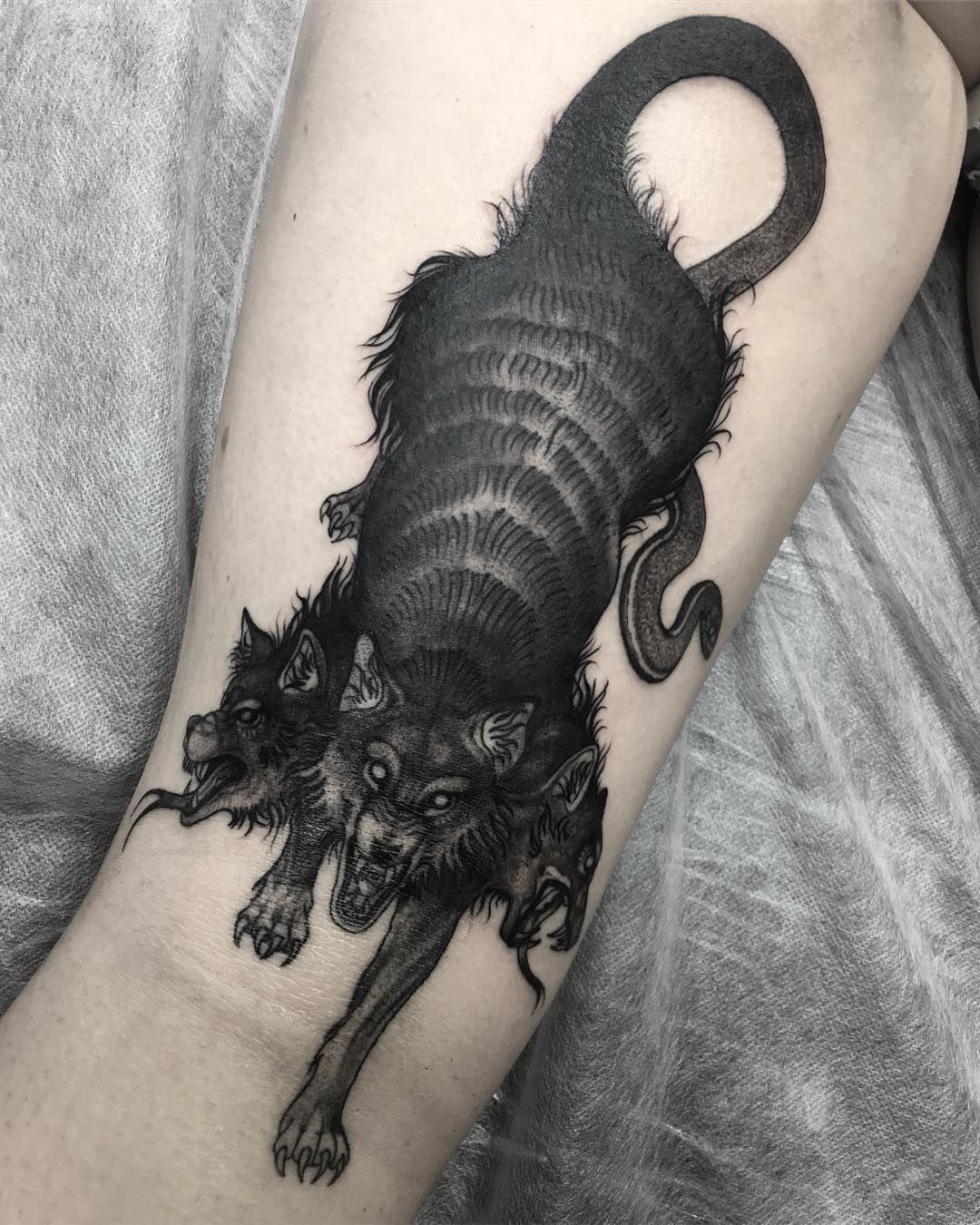 Ferocious Shadowhound Cerberus Tattoo Design