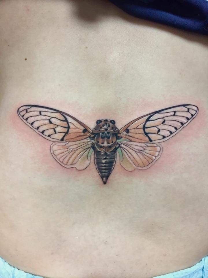 Bold American Traditional Cicada Tattoo Design