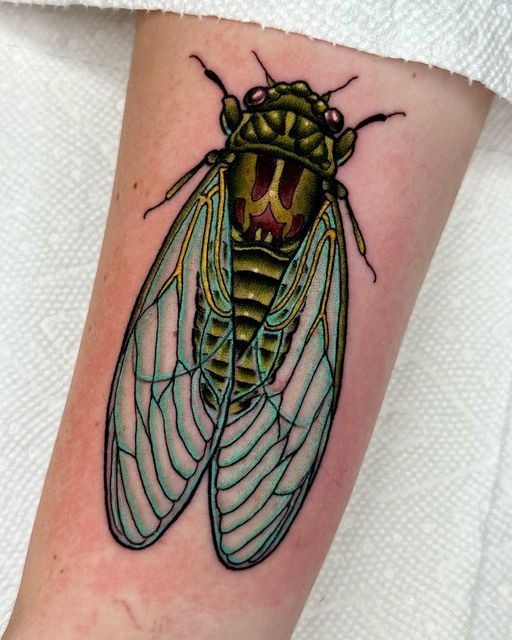 Cicada Scientific Stencil Duo Tattoo Design