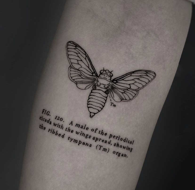 Cicada Wings Back Piece Tattoo Design