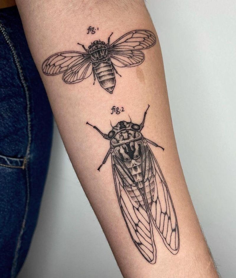 Cicada with Botanical Accents Tattoo Design