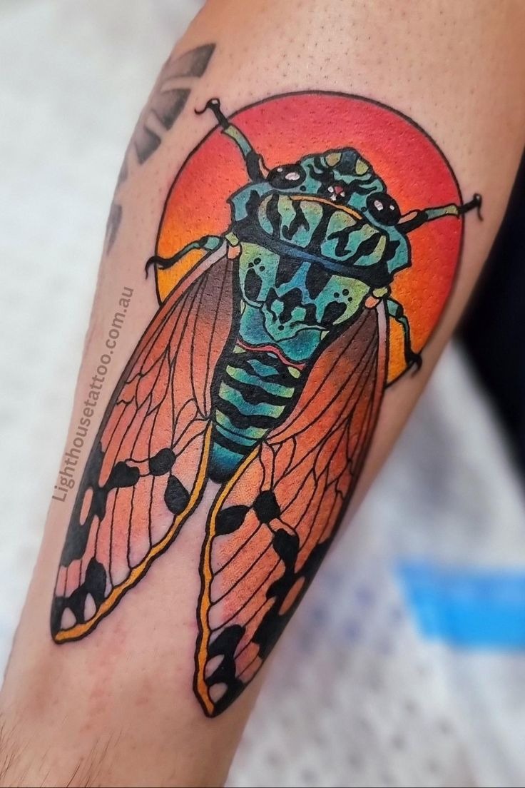 Cicada with Fiery Sunset Tattoo Design