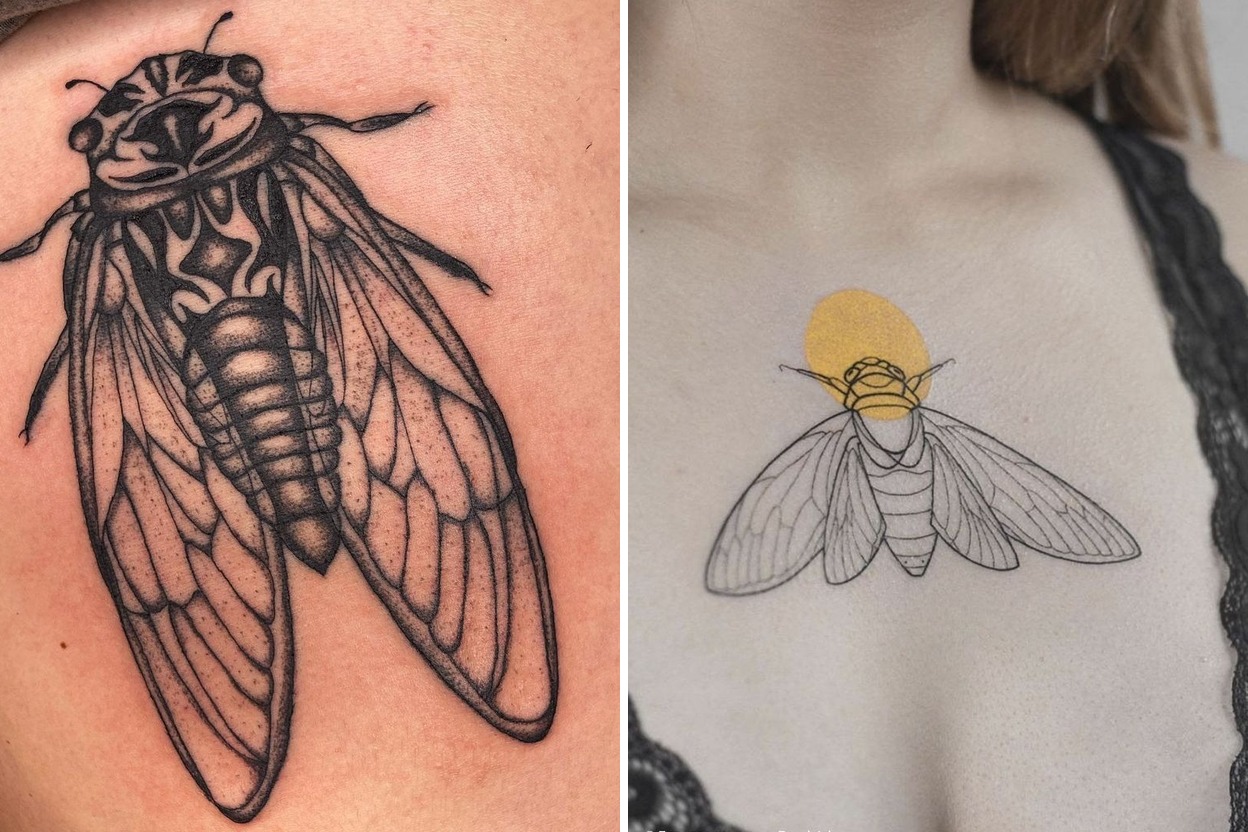32+ Cicada Tattoo Ideas & Inspiration Featured Lookbook Collage