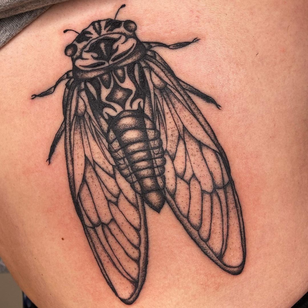Minimalist Cicada Chest Design Tattoo Design