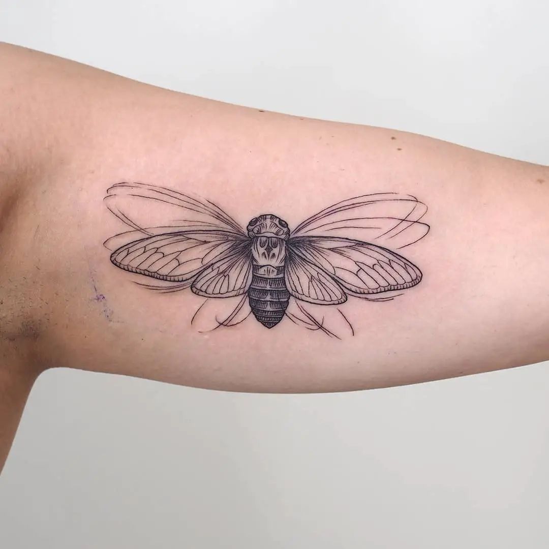 Neo Traditional Cicada in Vibrant Colors Tattoo Design
